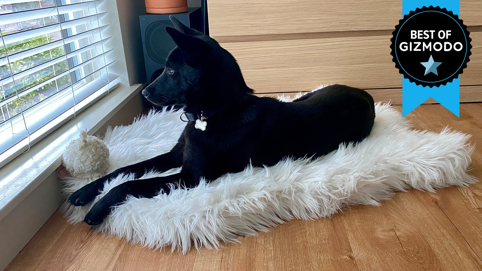 Photo: Catie Keck/Gizmodo