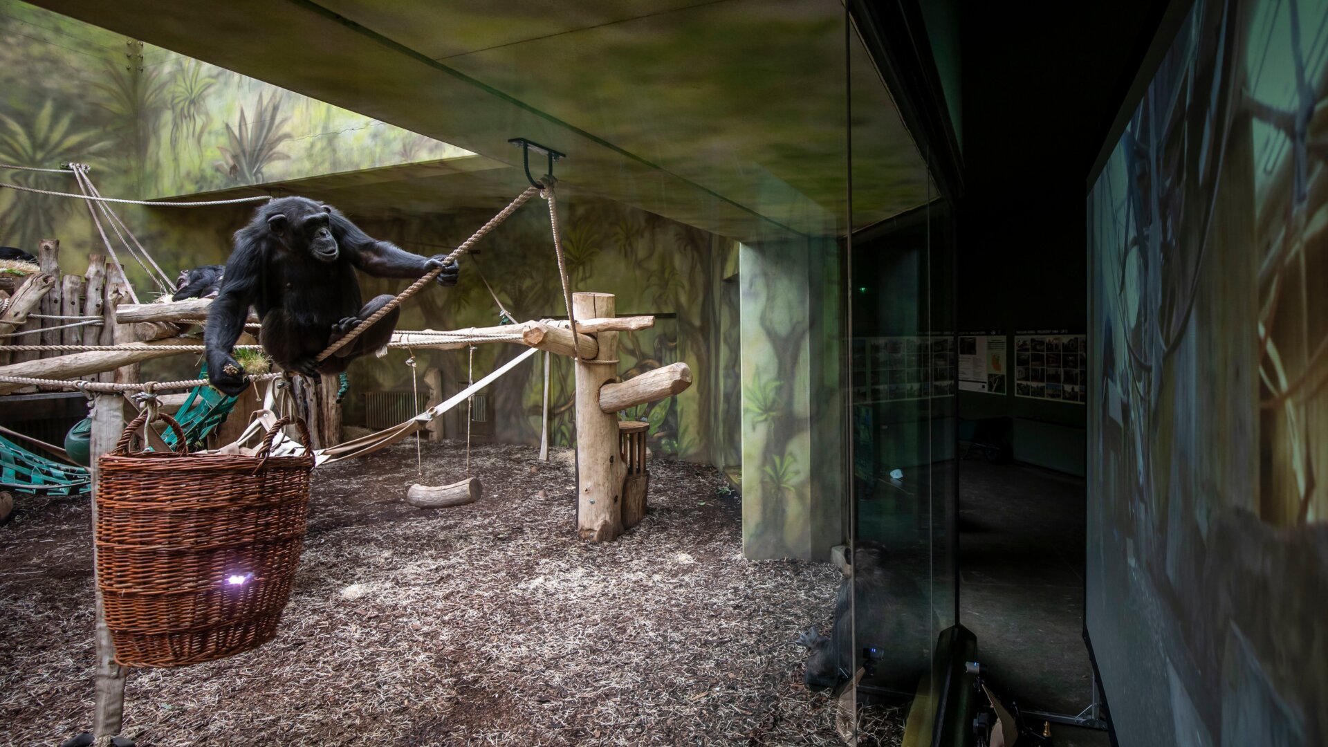 Photo: Gabriel Kuchta