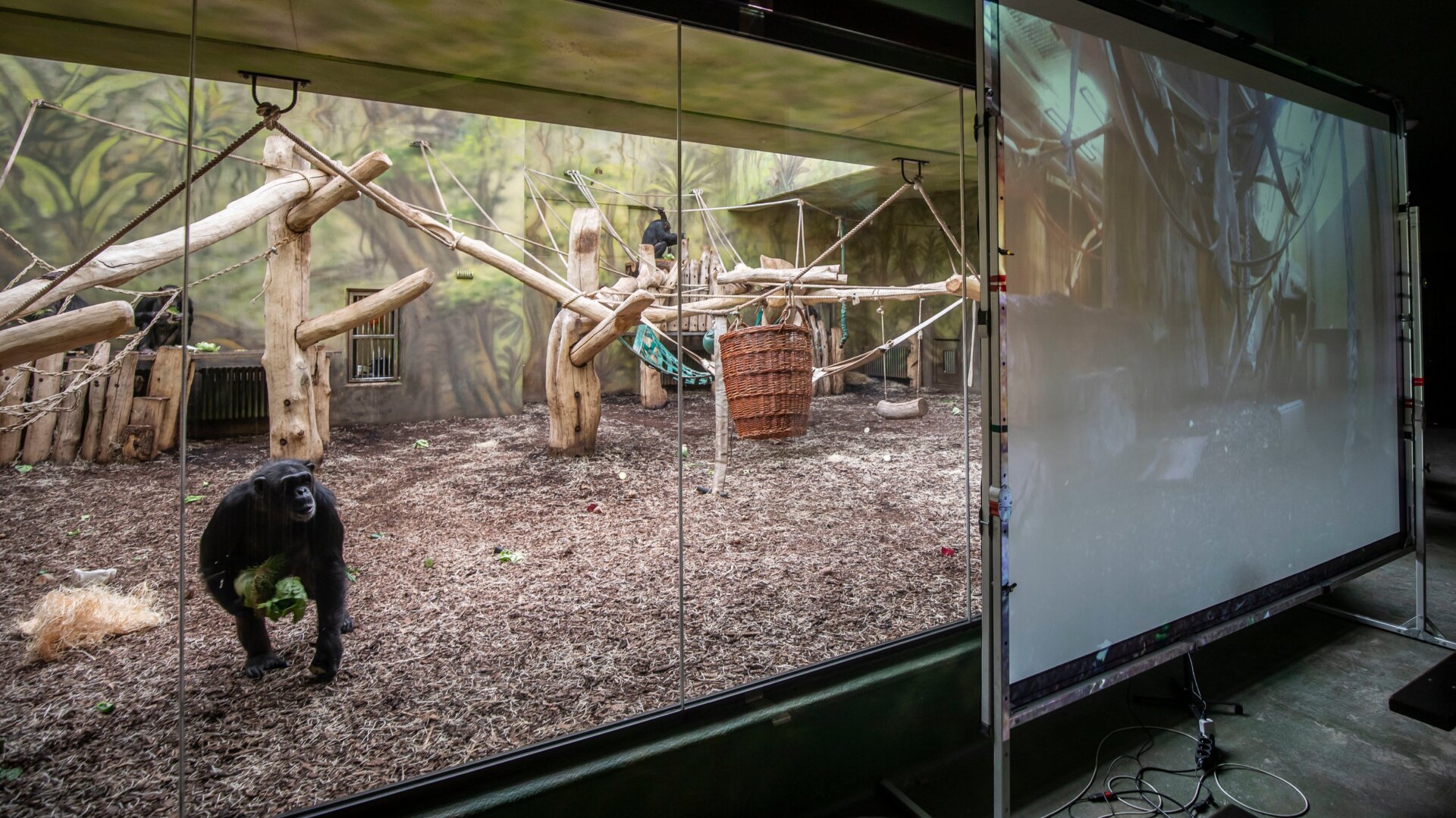 Photo: Gabriel Kuchta