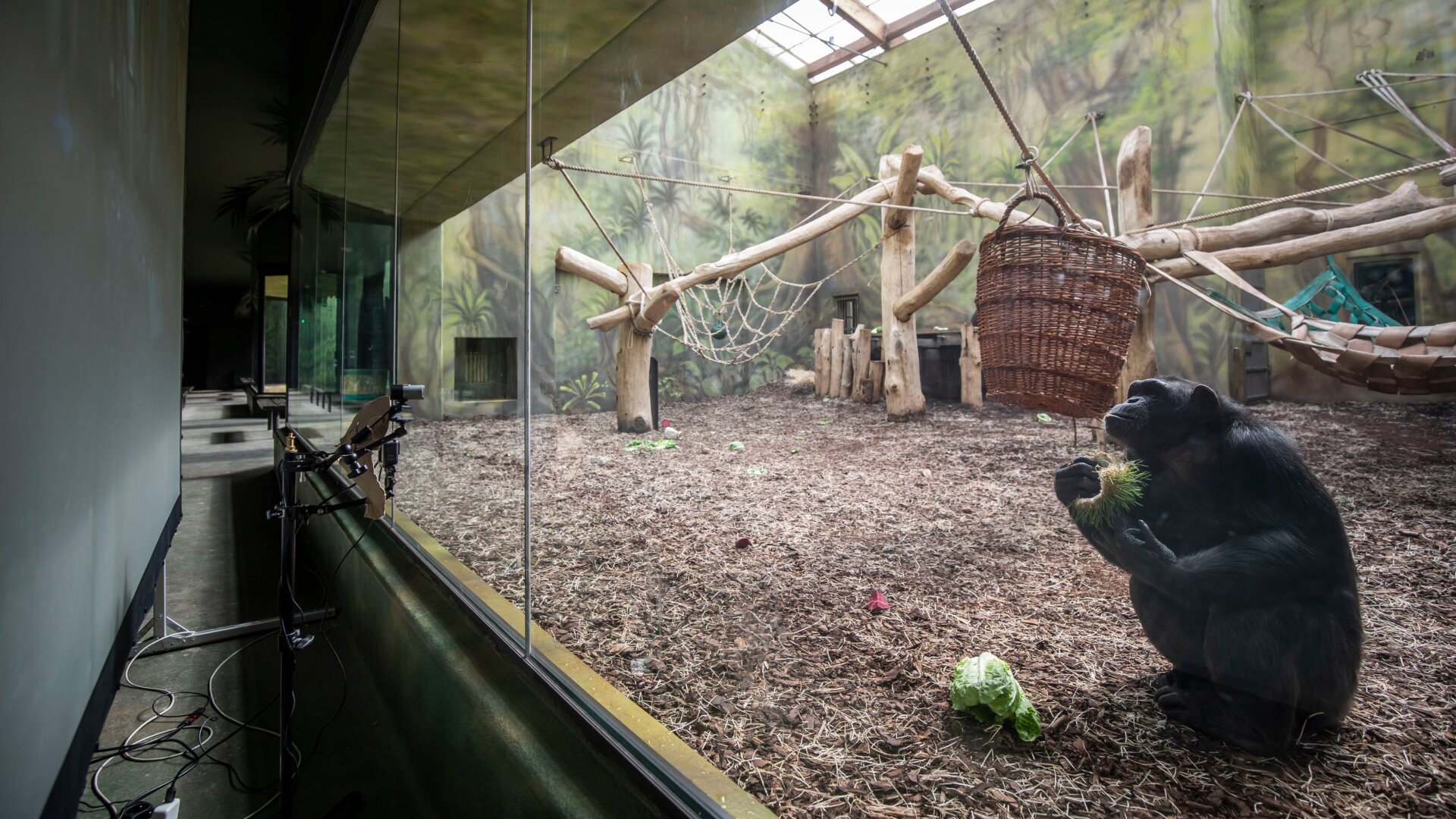 Photo: Gabriel Kuchta