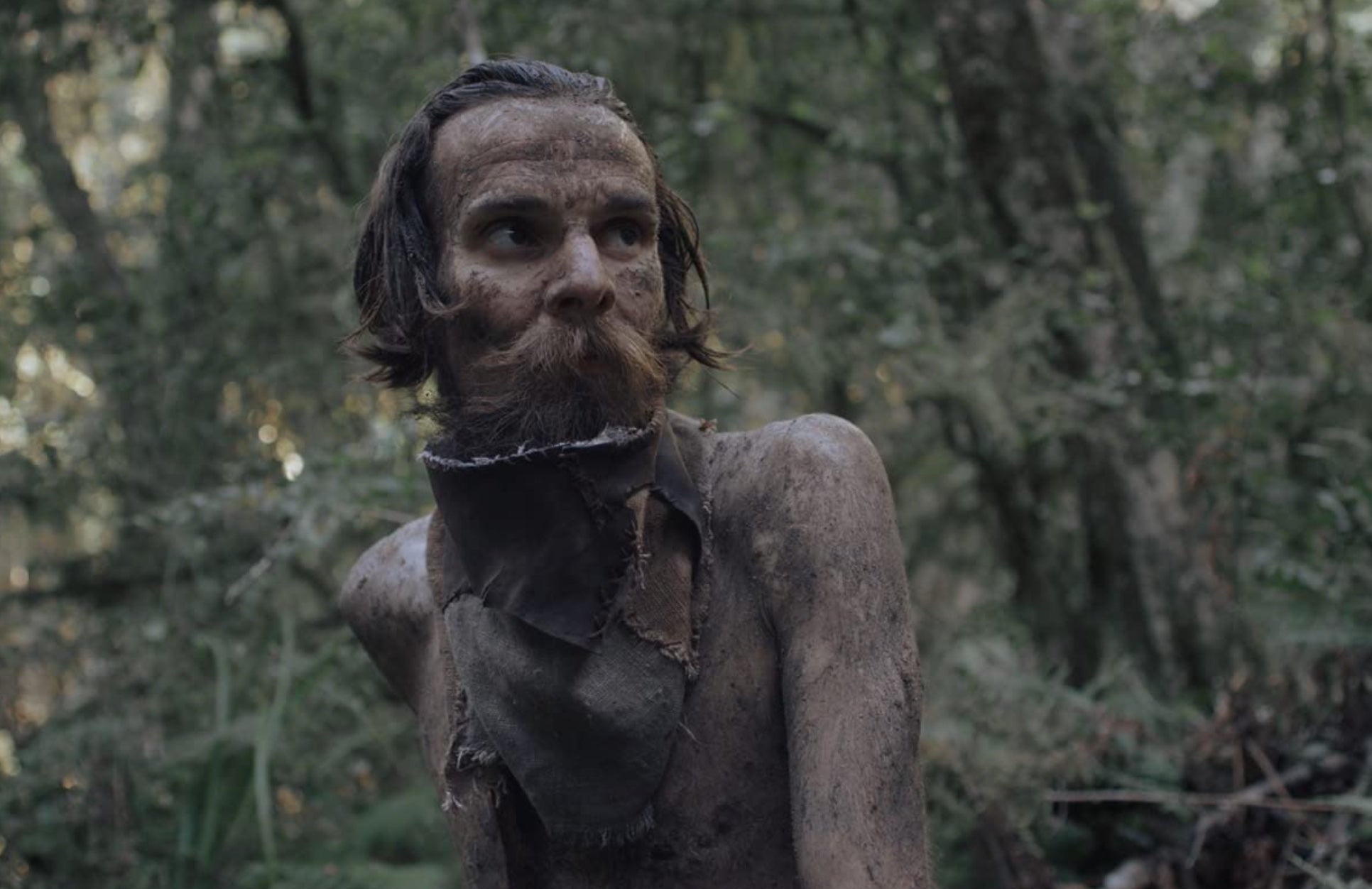 Carel New stars in Gaia.