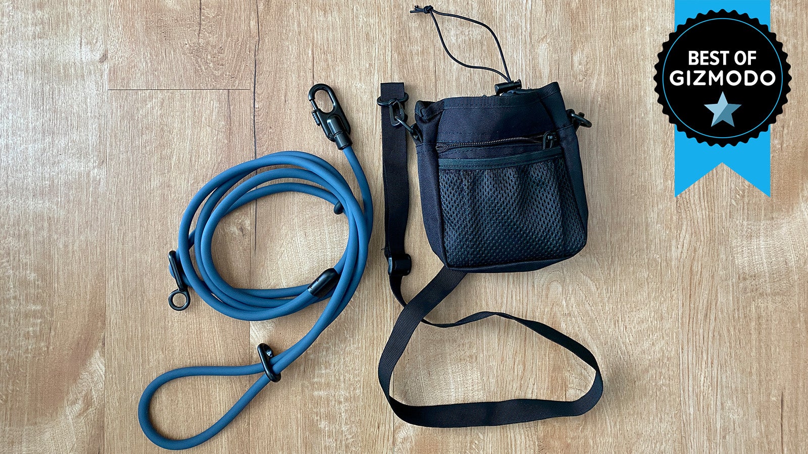 Fable Pets Magic Link leash and Cosmos treat bag.