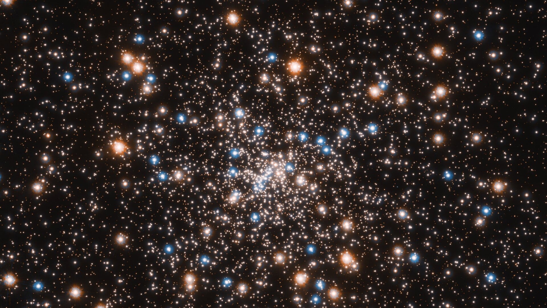 Photo: NASA