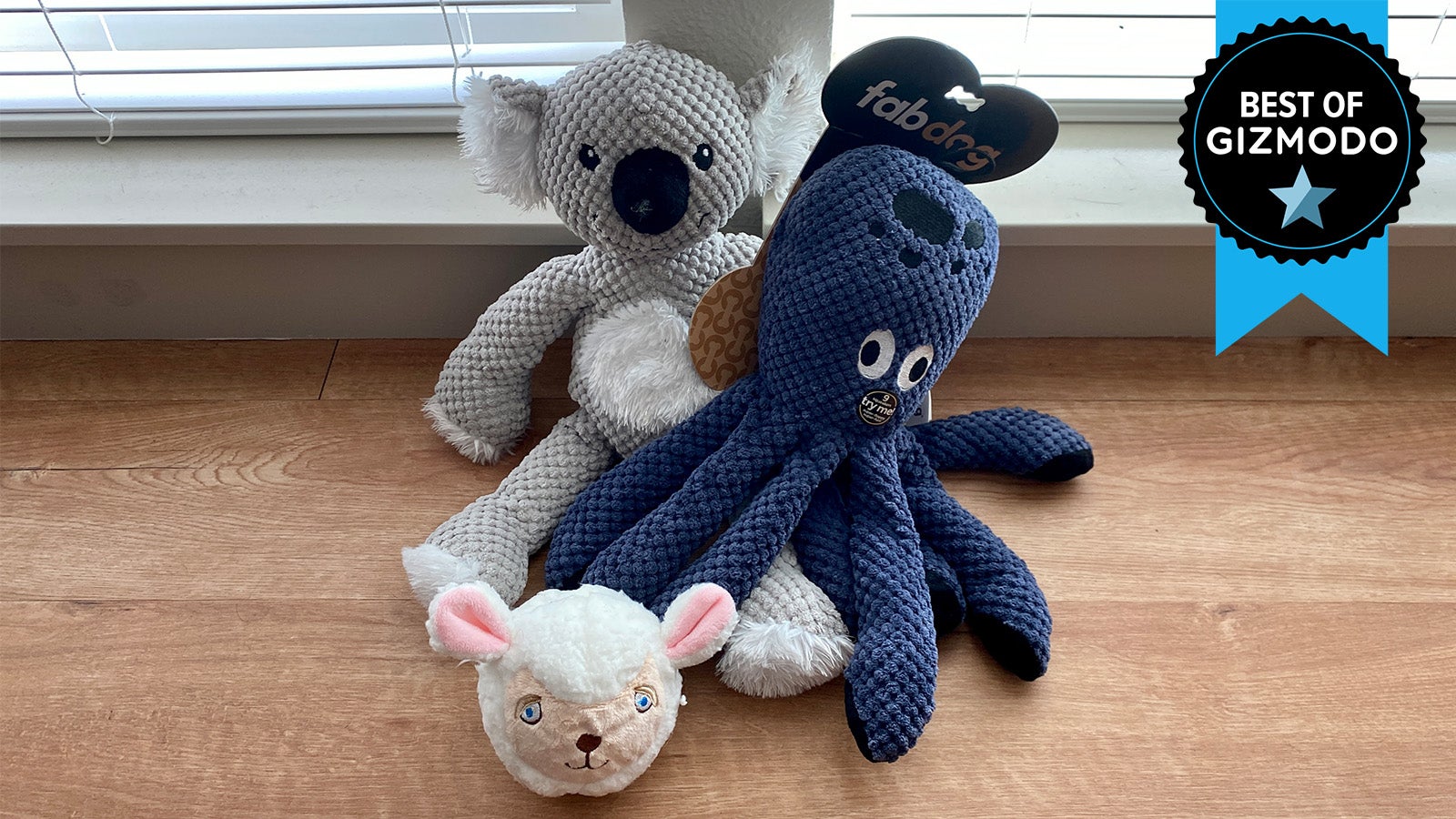 Photo: Catie Keck/Gizmodo