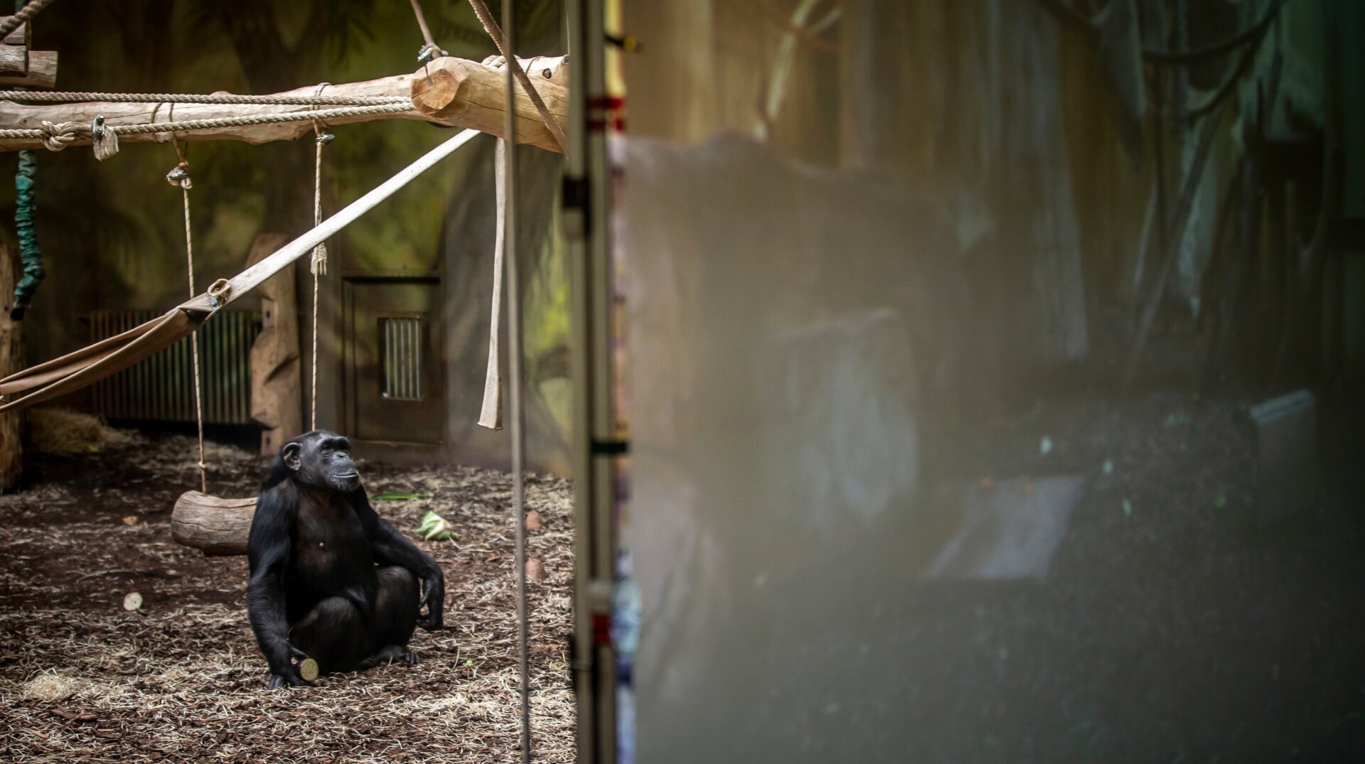 Photo: Gabriel Kuchta