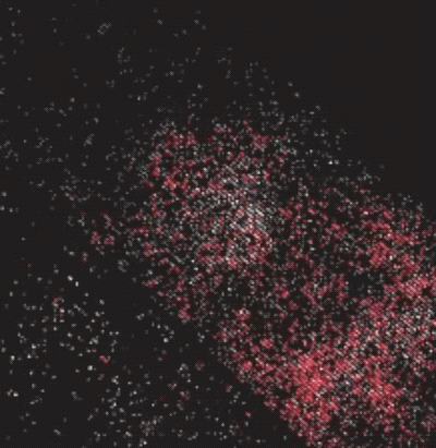 Animation showing an expanding auroral ring on Jupiter.