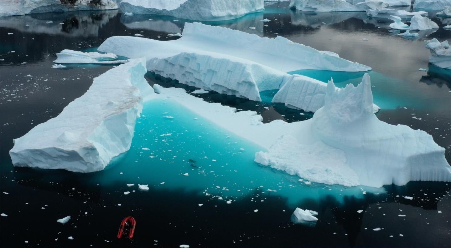 Aerial view of iceberg-filled habitat in Sermilik Fiord, eastern Greenland, near where specimens of Liparis gibbus were collected. The authors can be seen underwater in center of image