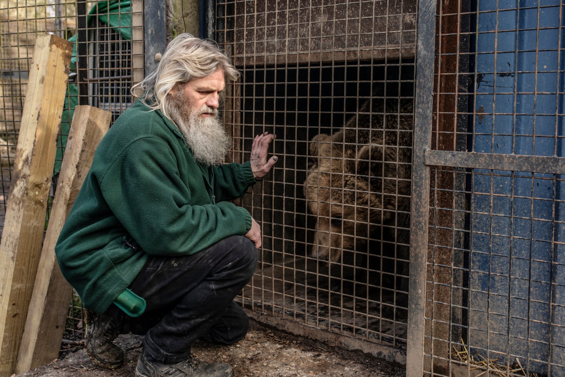  Keeper Paul Wirdman crouches next to a European brown bear in its enclosure.