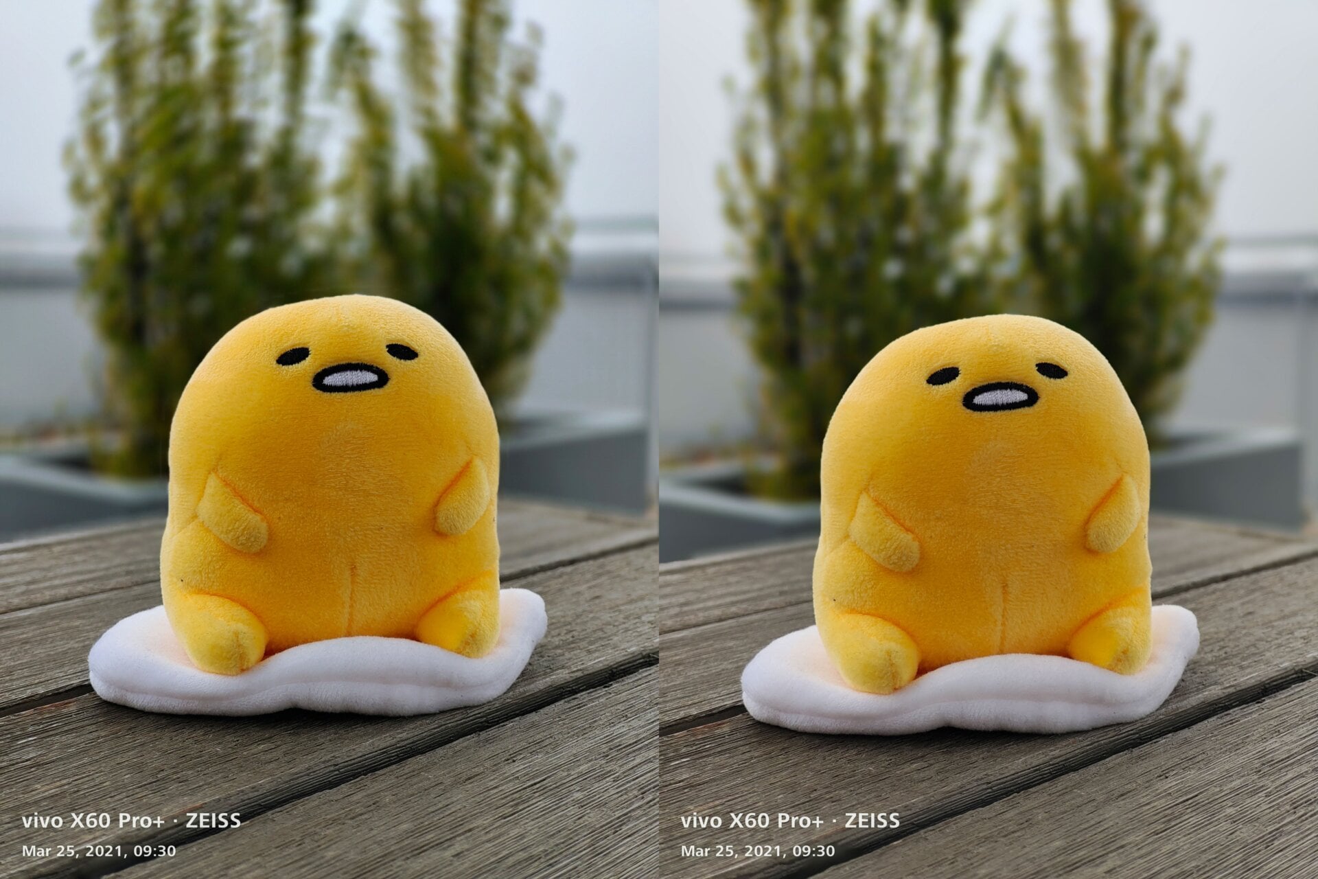It’s subtle, but if you look at the shot on the left, you can see the rotational bokeh effect you get from Zeiss’ Biotar portrait mode. 