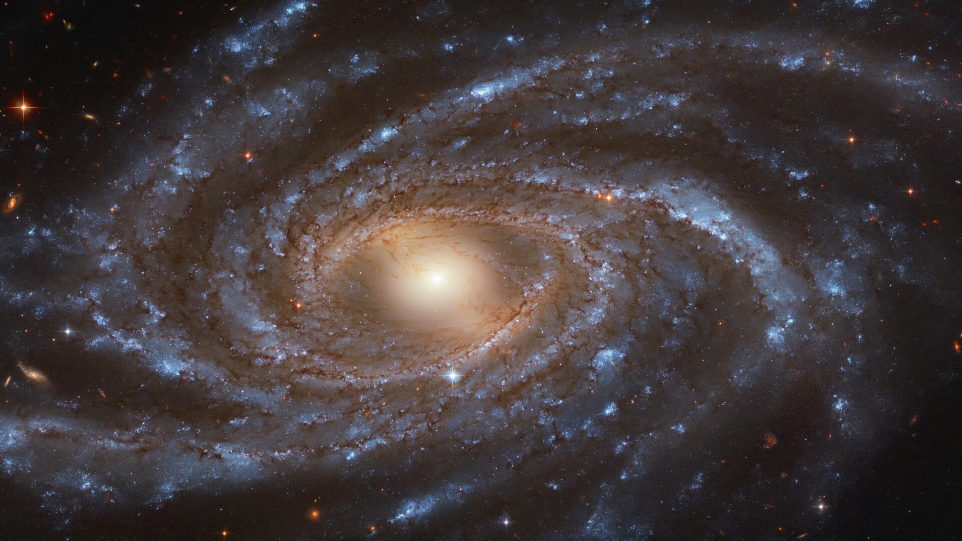 Spiral galaxy NGC 2336.