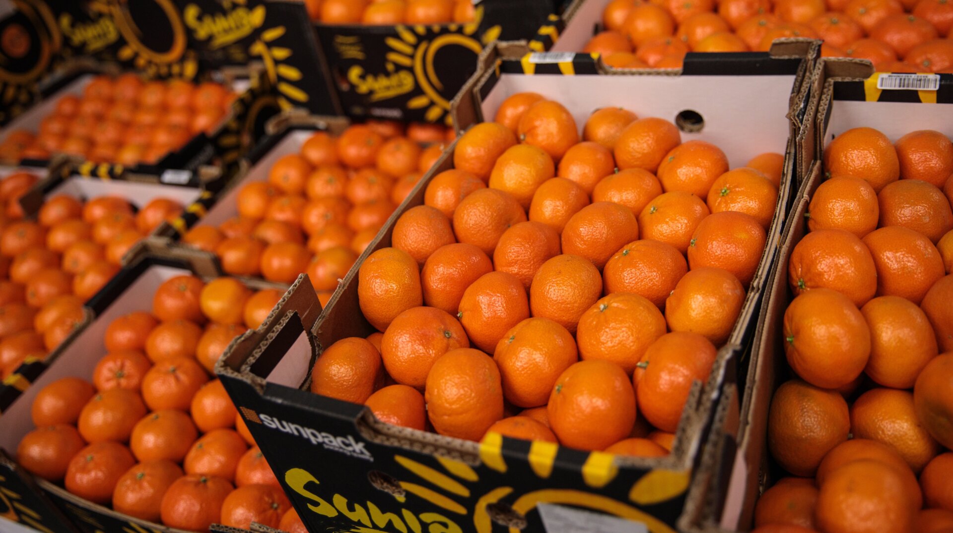 A sniff of orange a day may keep anosmia at bay.