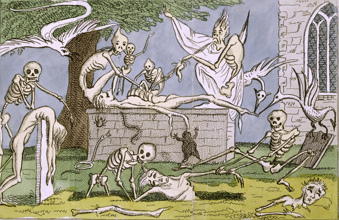 Tales of terror; with an introductory dialogue ... - caption: “Skeletons,” as digitized by the British Library