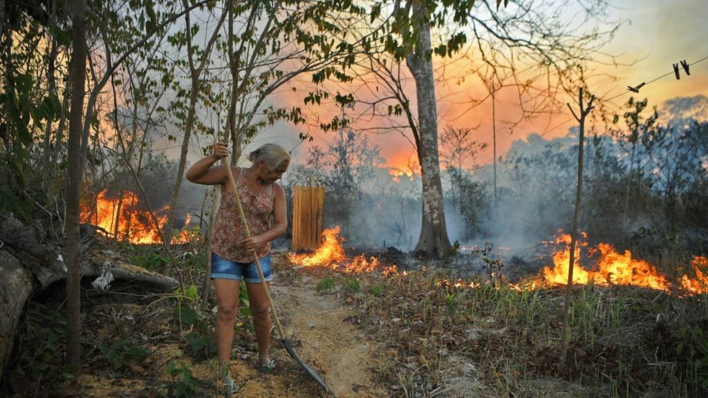 Photo: Carl De Souza