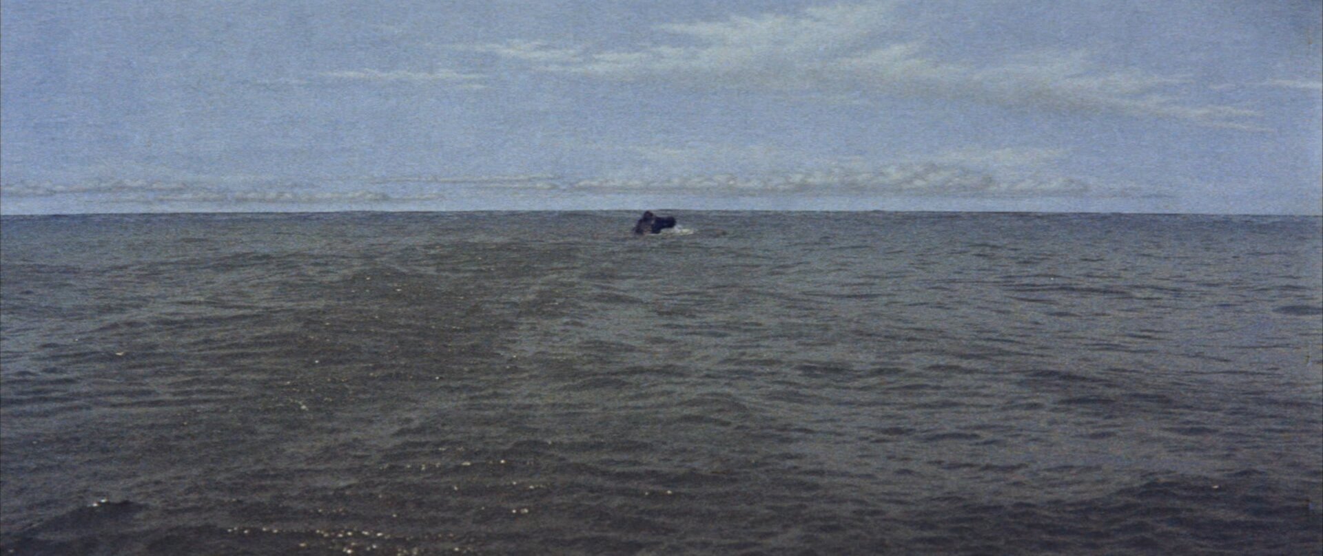 Screenshot: Toho/Criterion