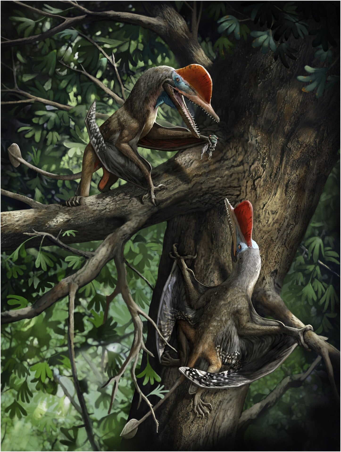 A paleoart rendition of two “Monkeydactyls.”
