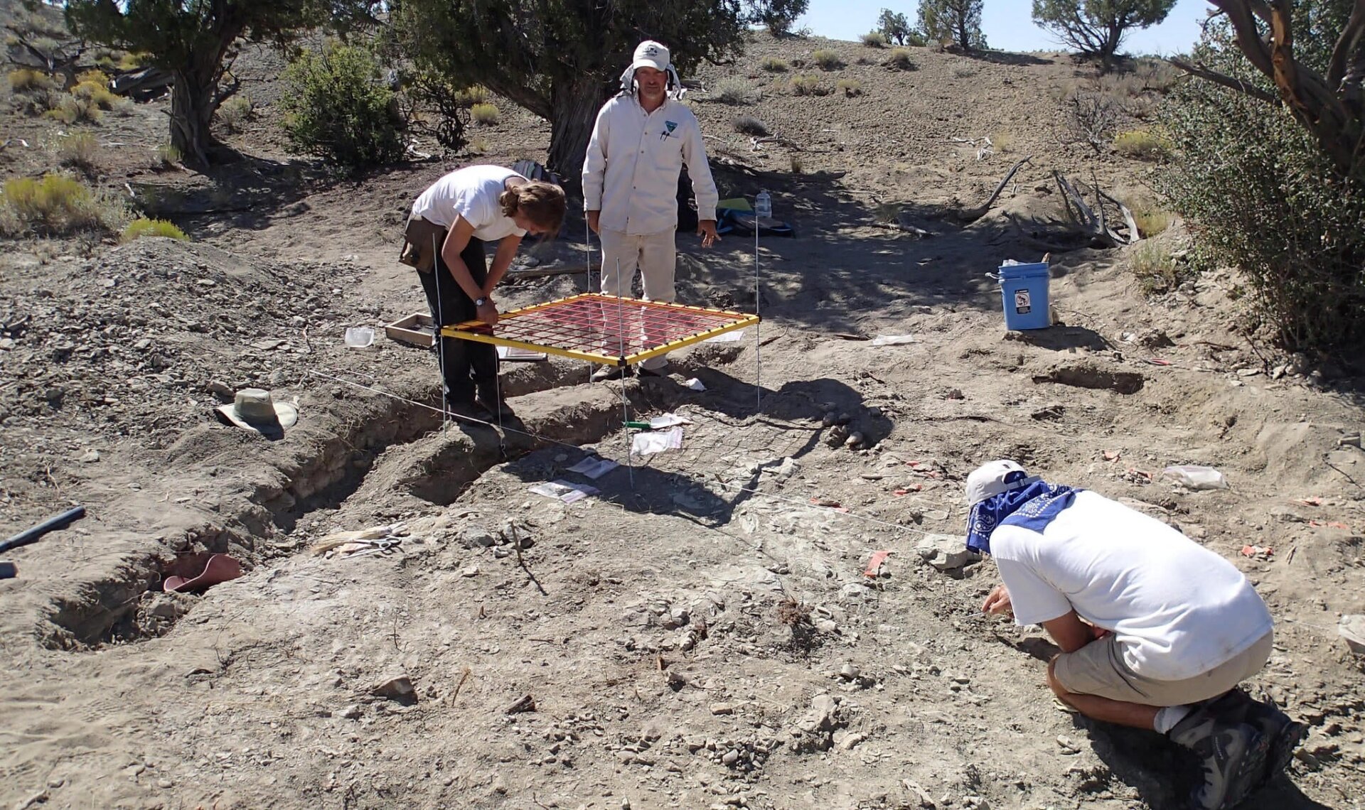 Team members mapping bones at the site.