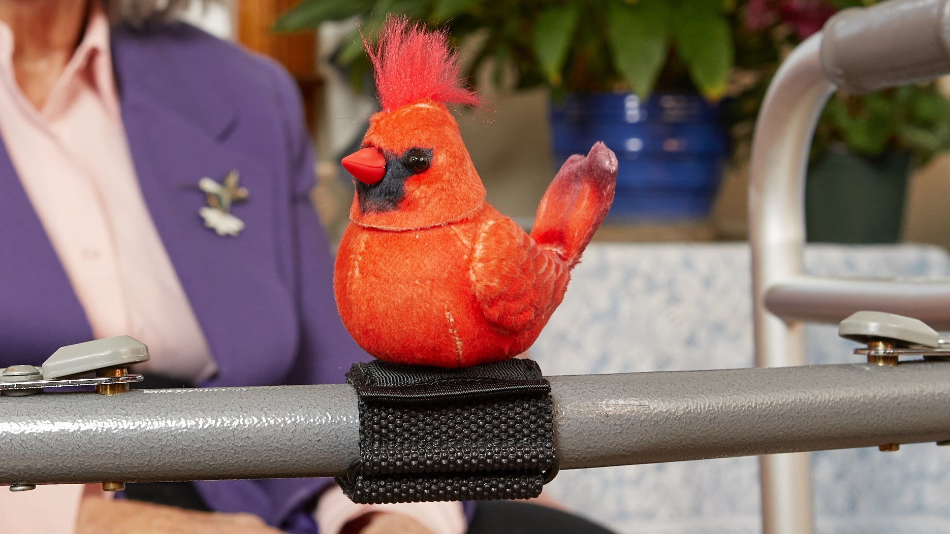 Image: Ageless Innovation LLC