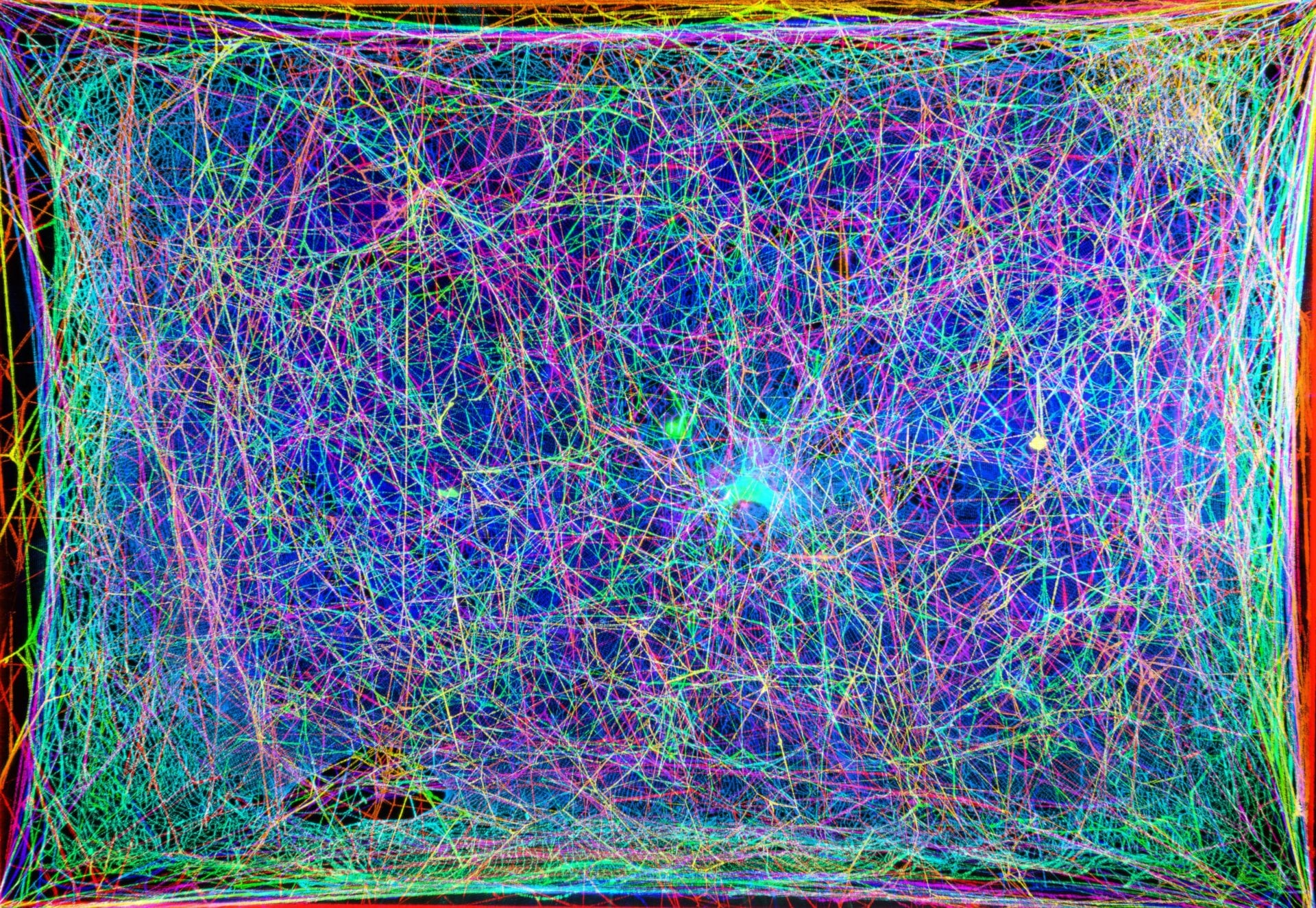 An overlaid image of different portions of the lab’s spider web.