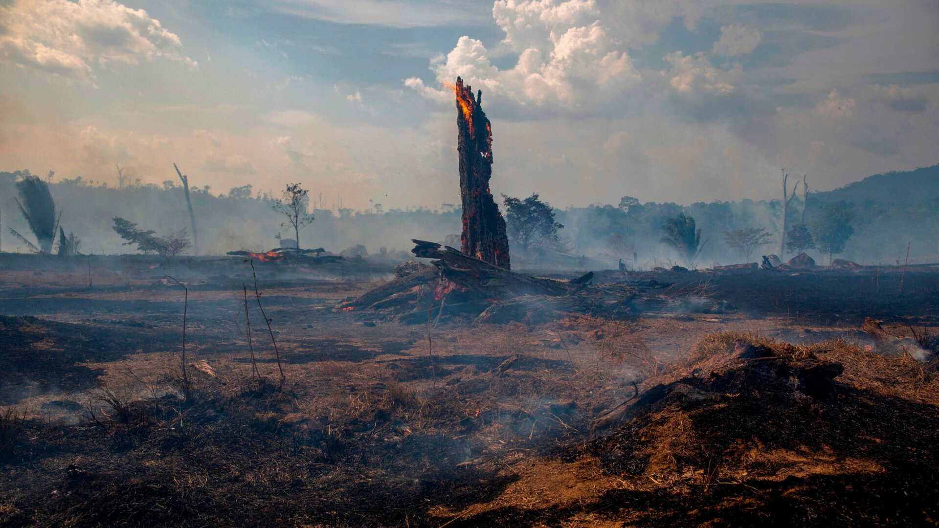 View of a burnt area of forest in Altamira, Para state, Brazil, oin the Amazon basin, on August 27, 2019.