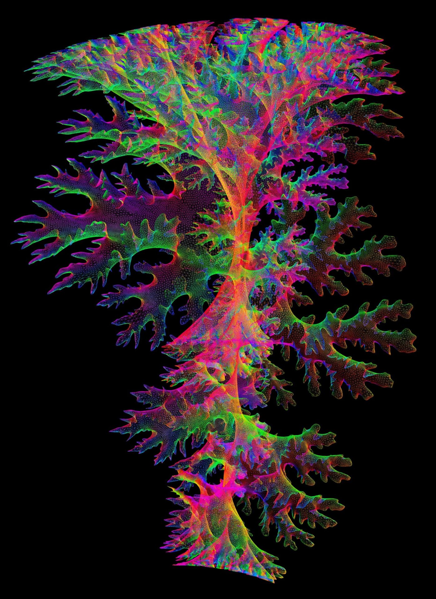 A 3D image of one ammonite’s suture structure was used to make the physical models.