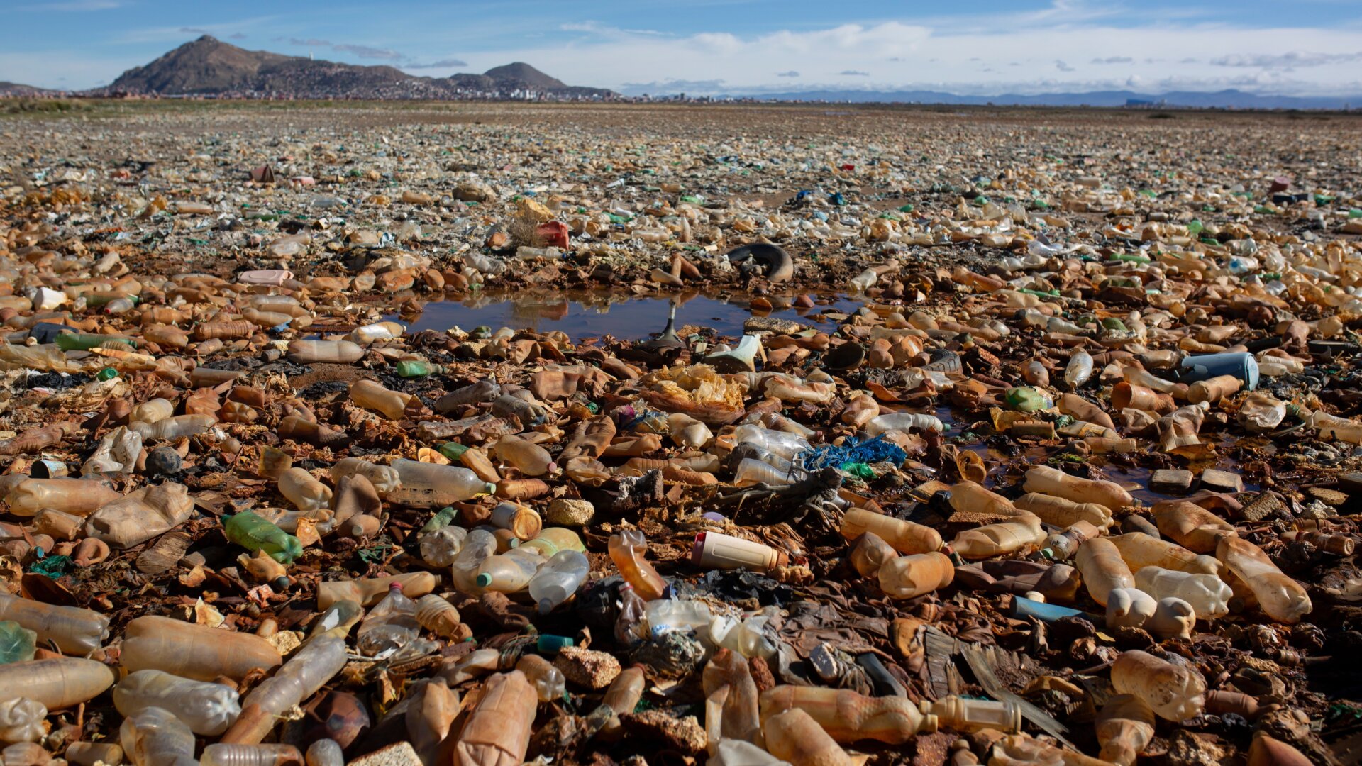 Photo: Gaston Brito Miserocchi