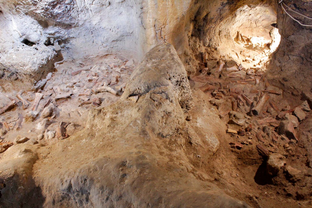 The view inside the cave, with what appears to be an assemblage of bones left by hyenas. 