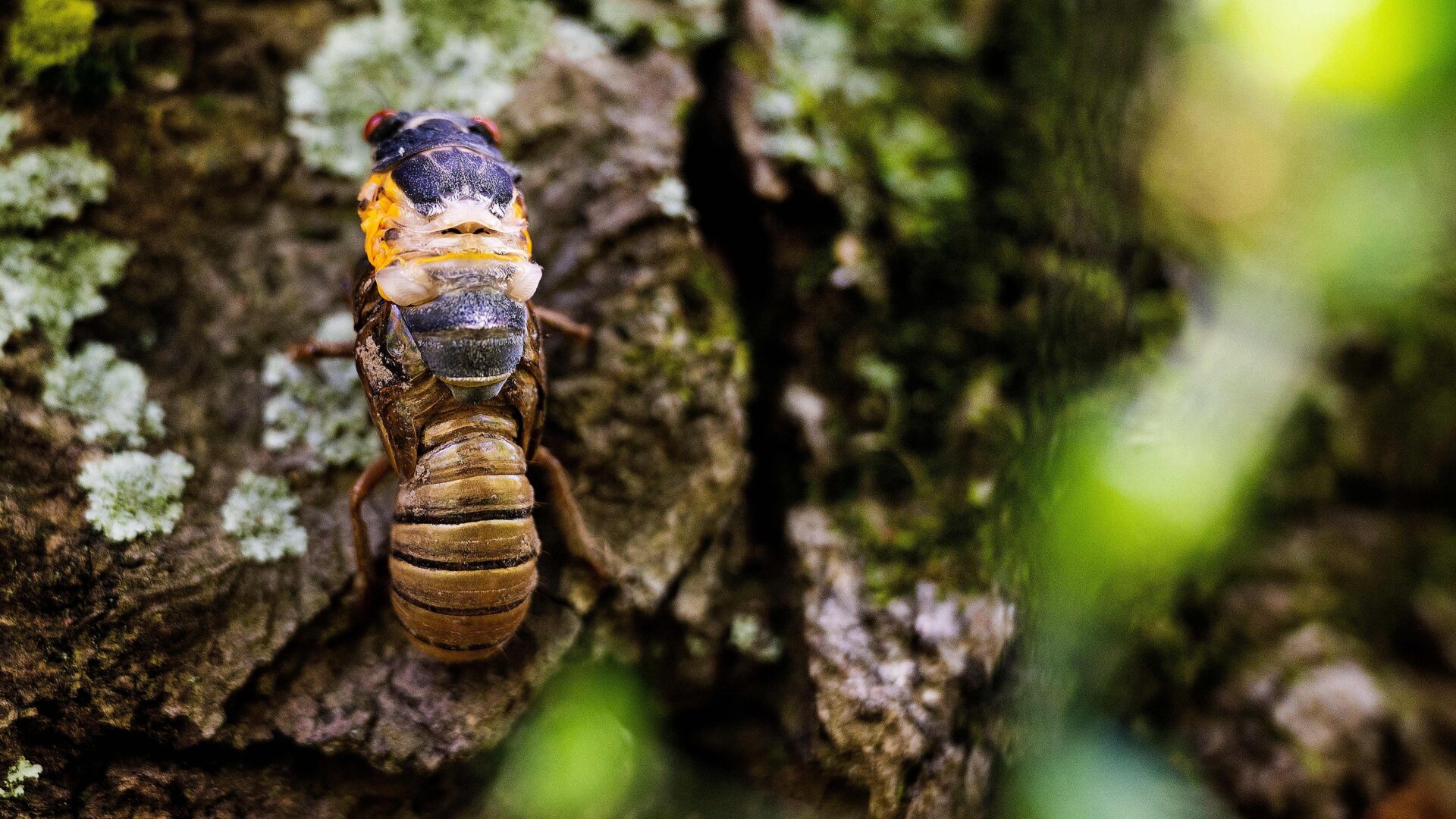 Photo: Andrew Caballero-Reynolds/AFP
