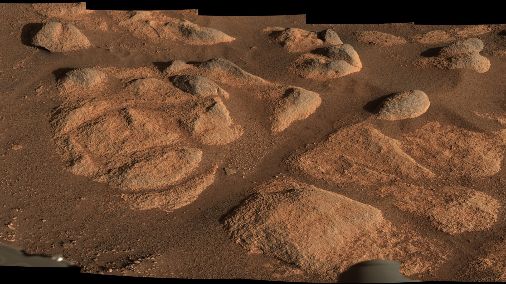 Rocks imaged last month by Perseverance’s Mastcam-Z.