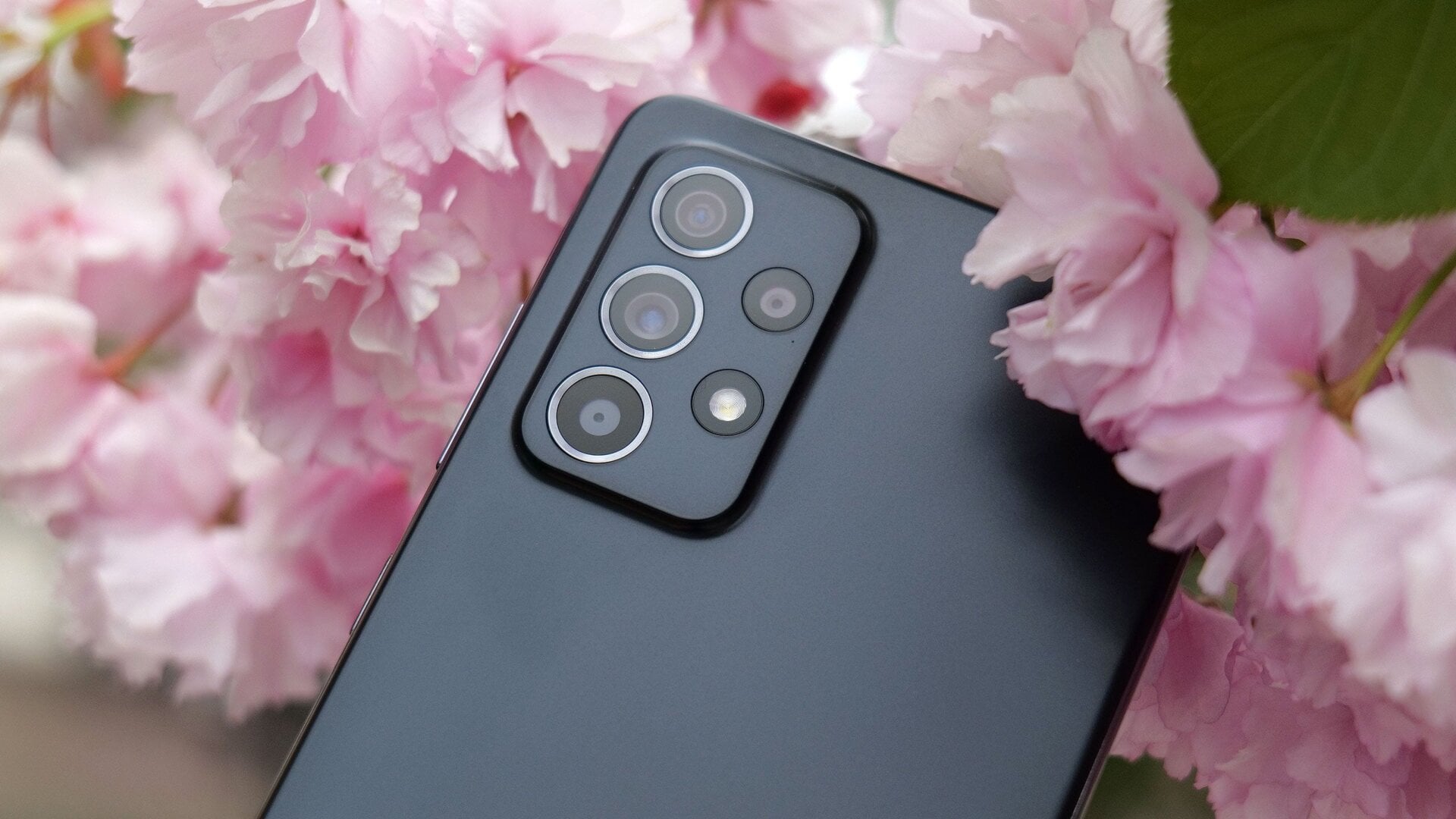 Photo: Sam Rutherford