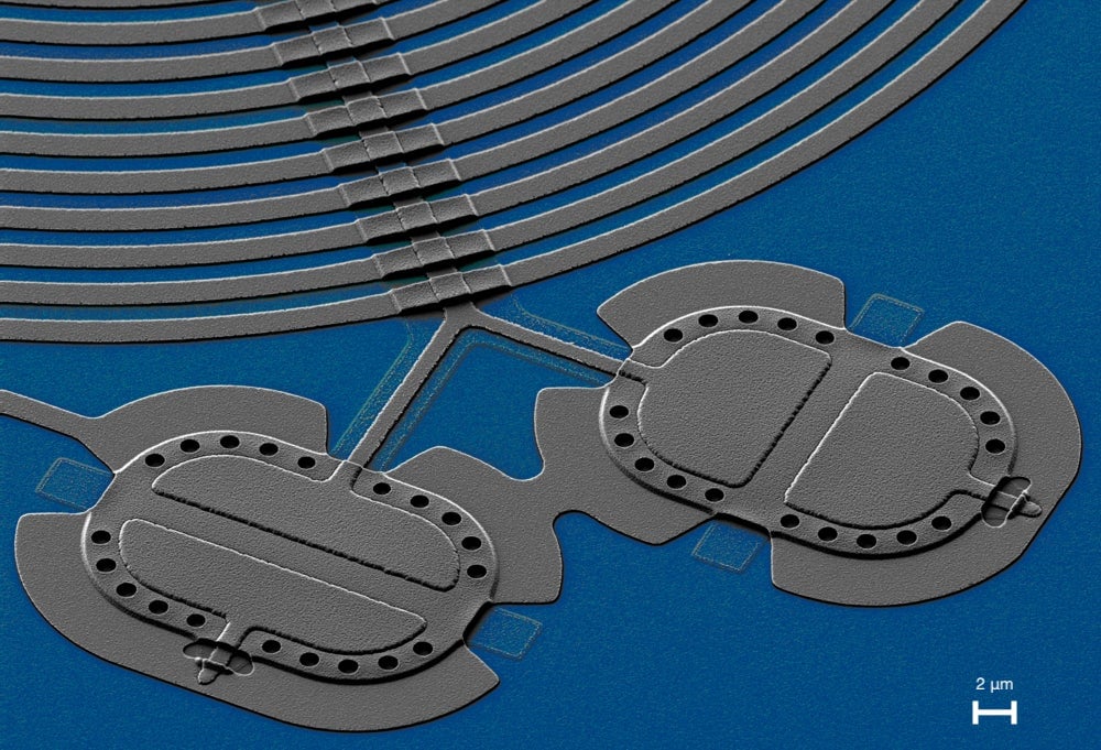 Kotler’s team synchronized the motion of two tiny drums made of aluminum, seen here in a microscope image.