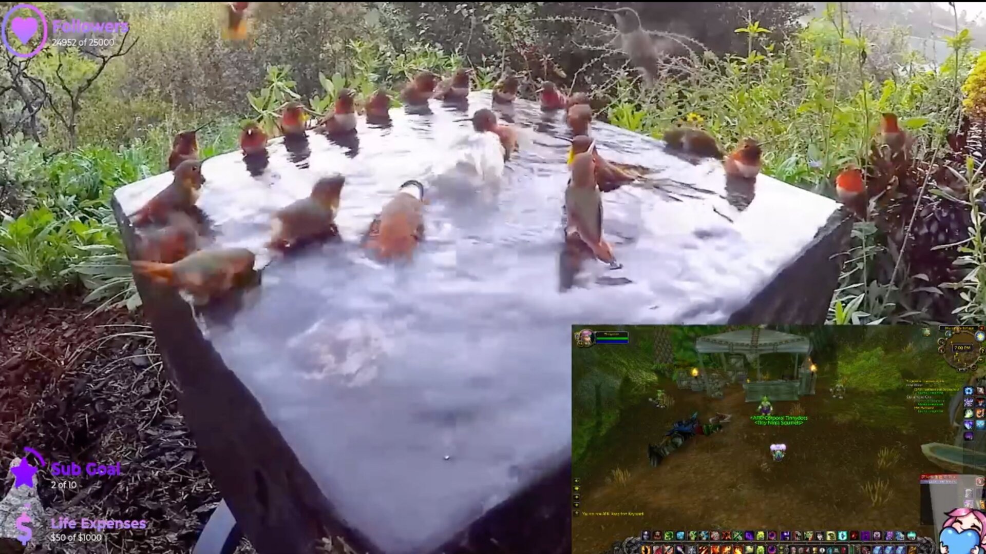 Screenshot: Khaleesi_Live_Tv