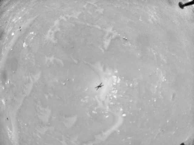 A sequence of images depicting the final 29 seconds of the sixth flight. 