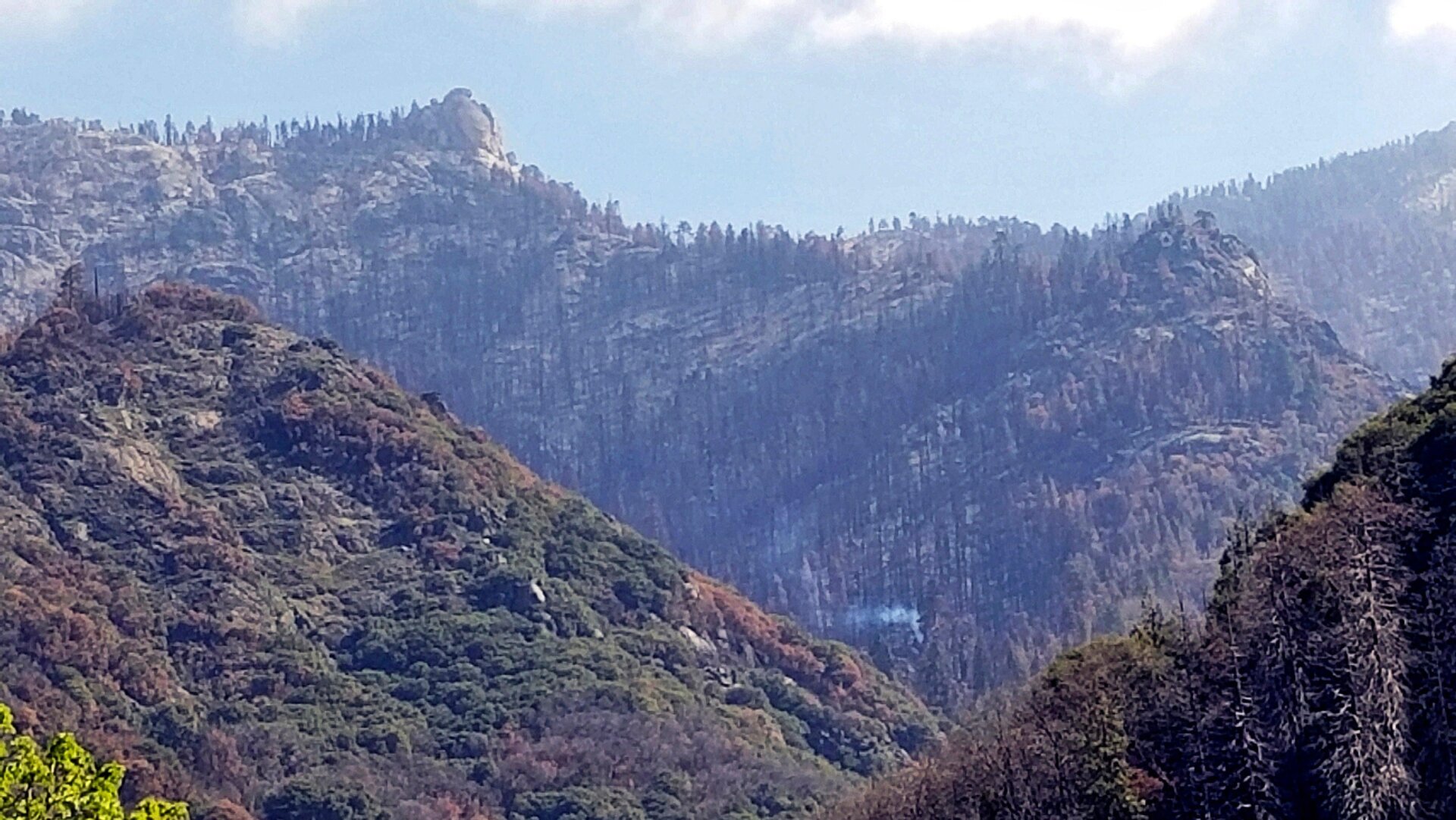 This photo provided by the National Park Service shows what appears to be a smoldering tree in Sequoia National Park, Calif., on April 22, 2021.
