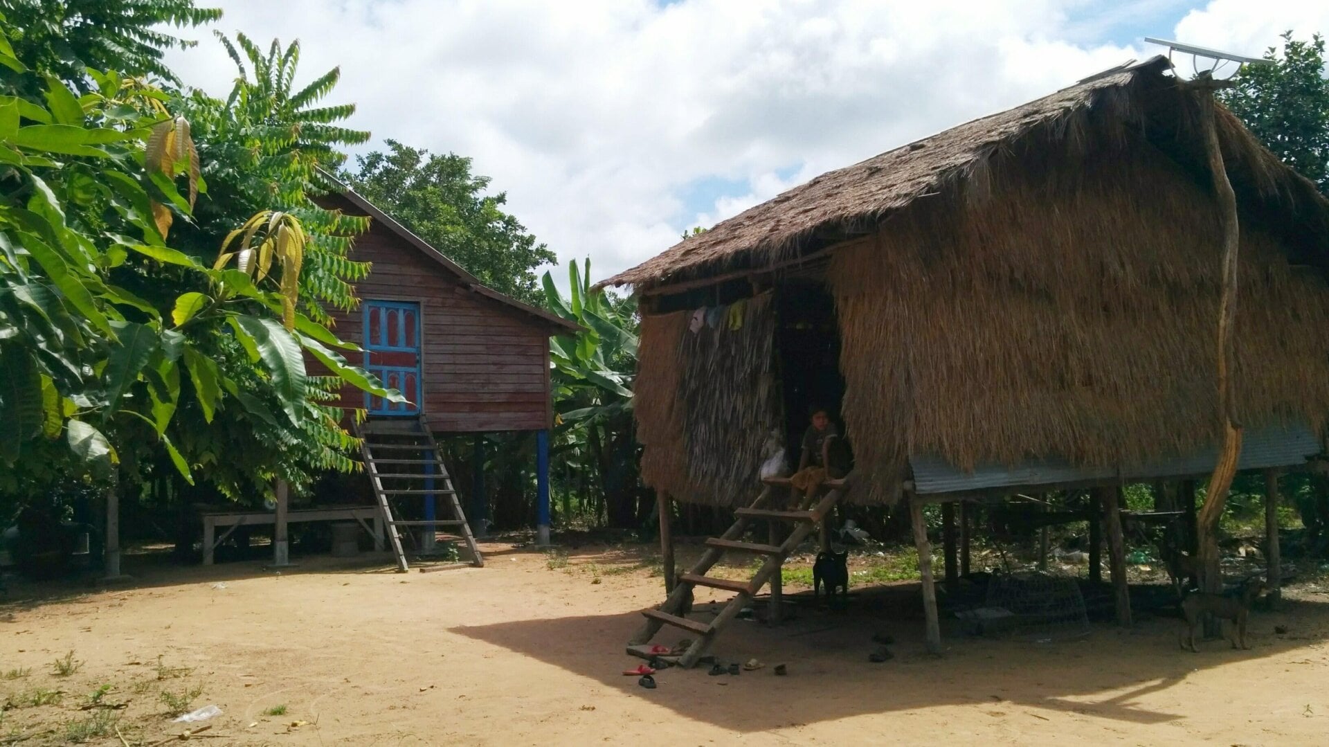 Examples of contemporary Cambodian homes. The house in the foreground is made from wood and thatch. 