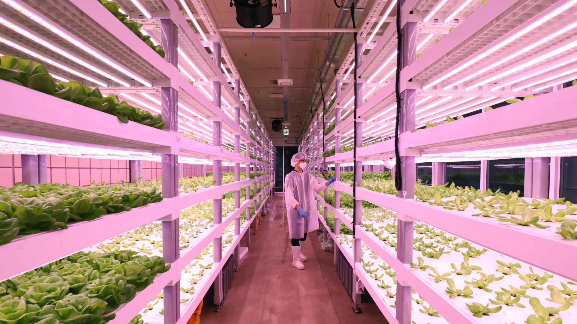 Photo: Chung Sung-Jun