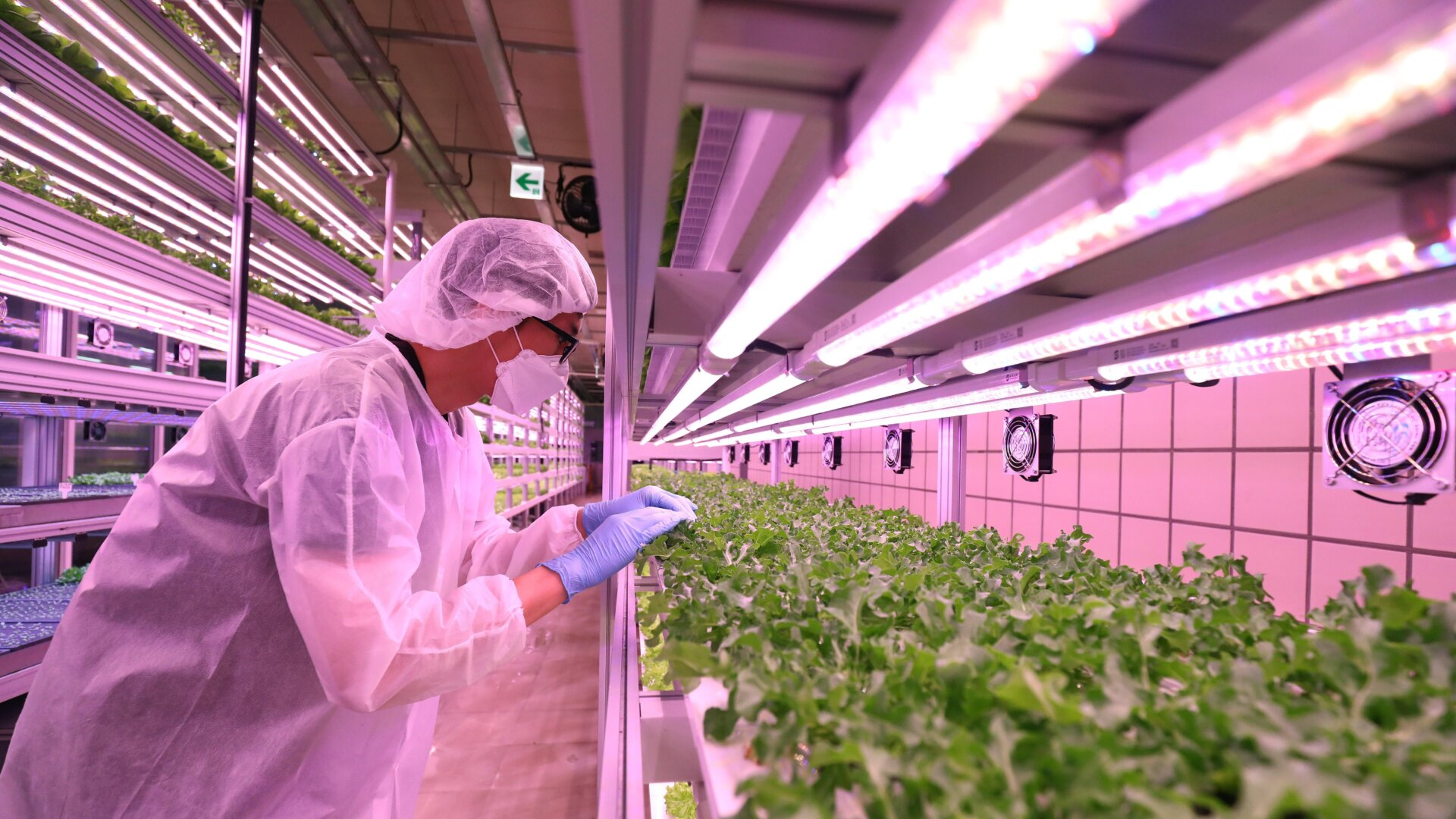 Photo: Chung Sung-Jun