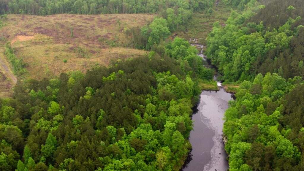 Photo: John L. Wathen, Hurricane Creekkeepe
