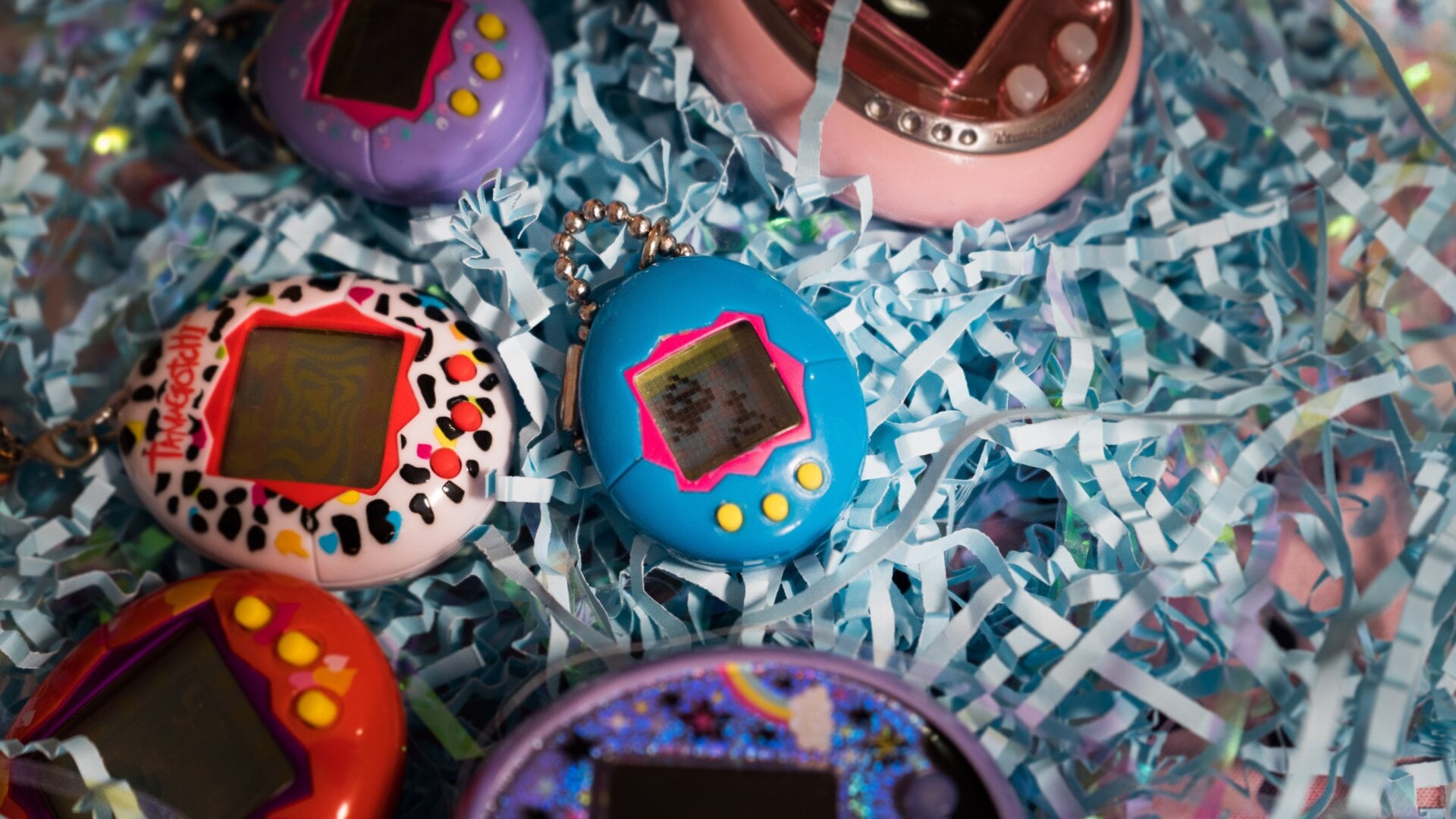 Where do Tamagotchi go when they die?
