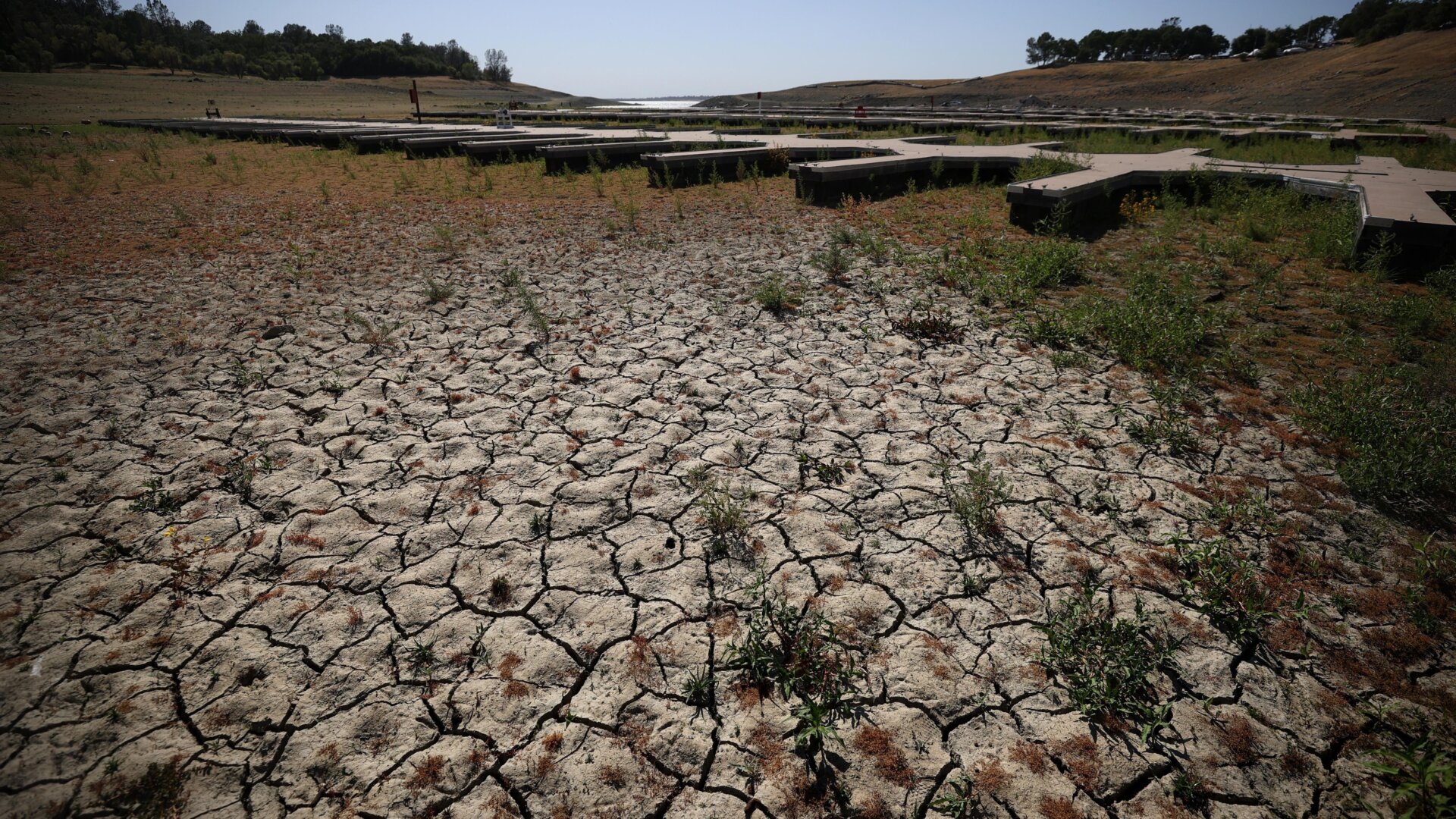 Photo: Justin Sullivan