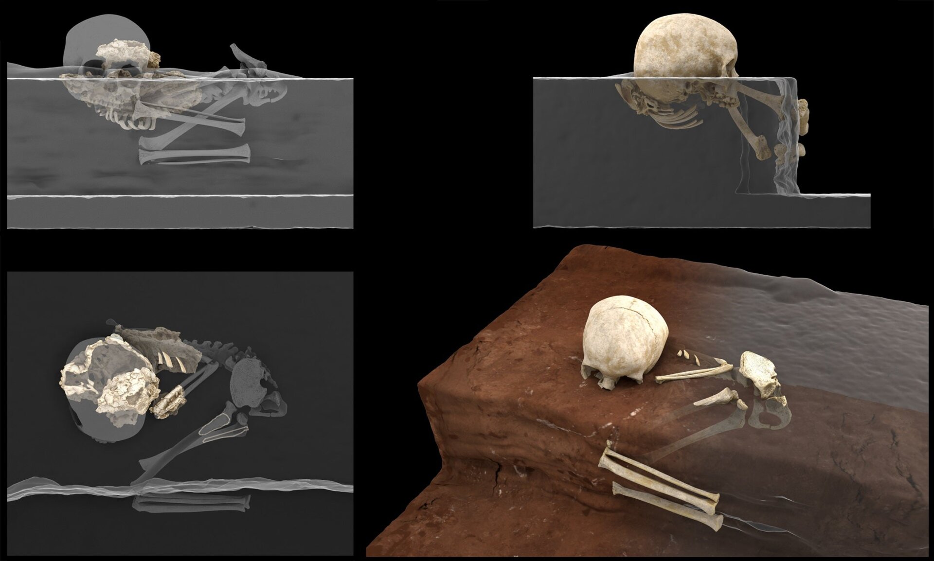 Virtual reconstructions of Mtoto’s position in the burial pit. 