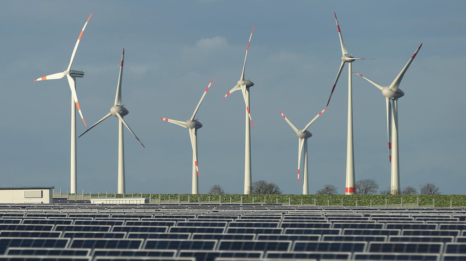 These are clean energy. Environmentalists don’t agree on what else is.