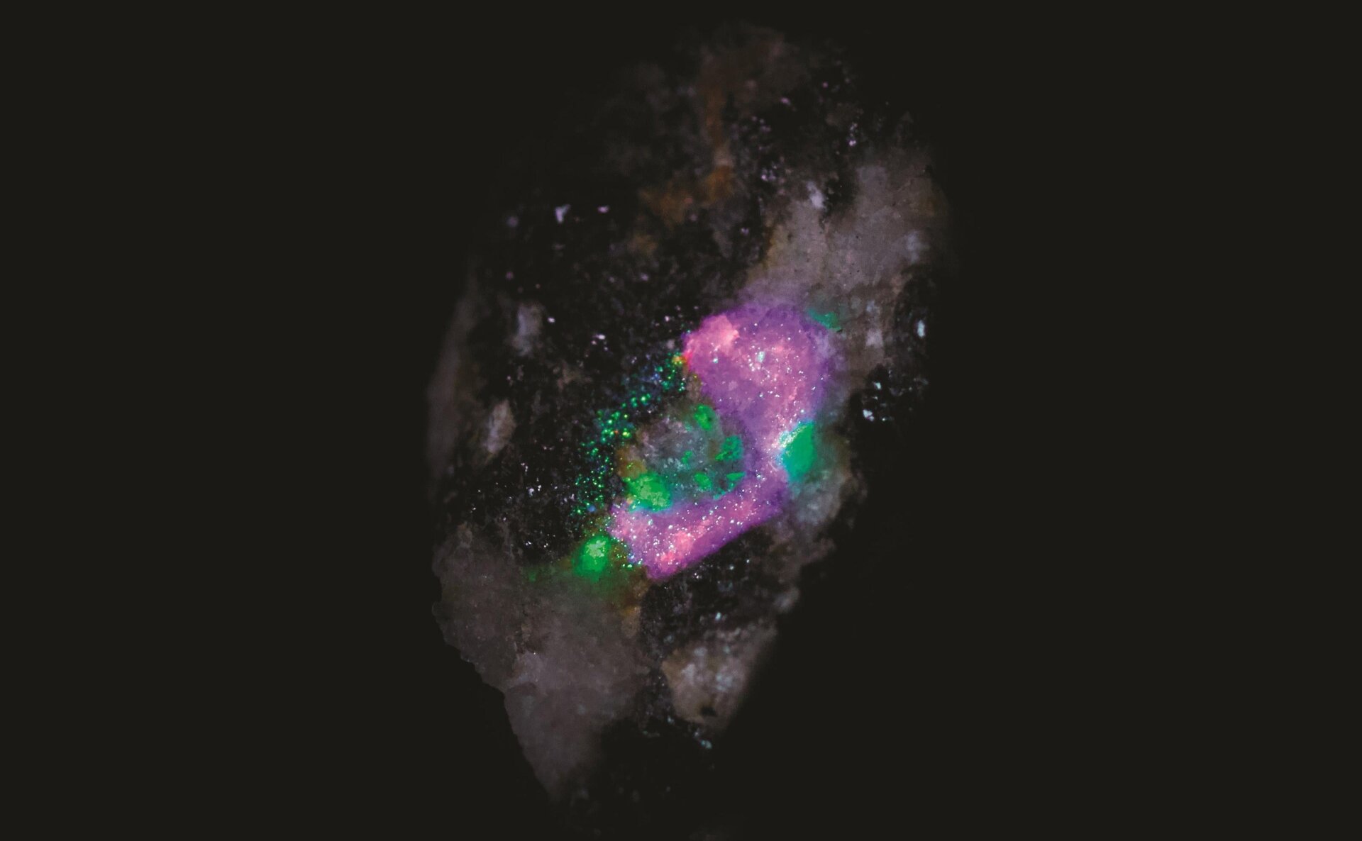  A rock as SHERLOC sees it, with each color representing a different mineral on the rock surface.