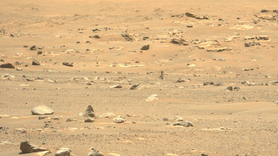 Ingenuity—no worse for wear—the day after its sixth flight. 