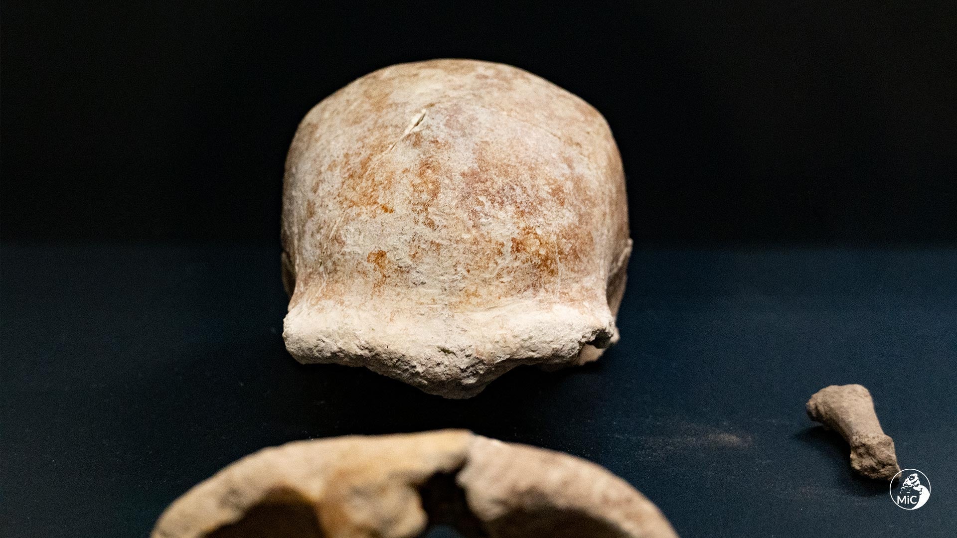 A skull fragment and other fossils found in the cave. 