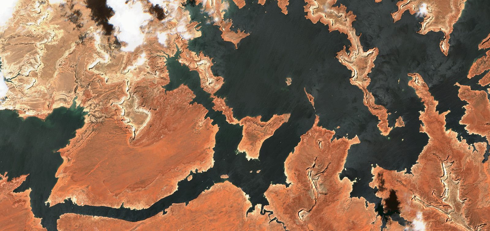 Gif: Brian Kahn/Sentinel Hub