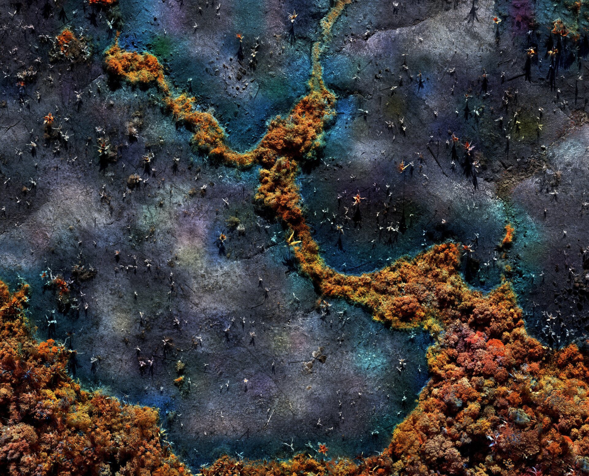 Burnt Forest, Amazonas by Richard Mosse. 2020.