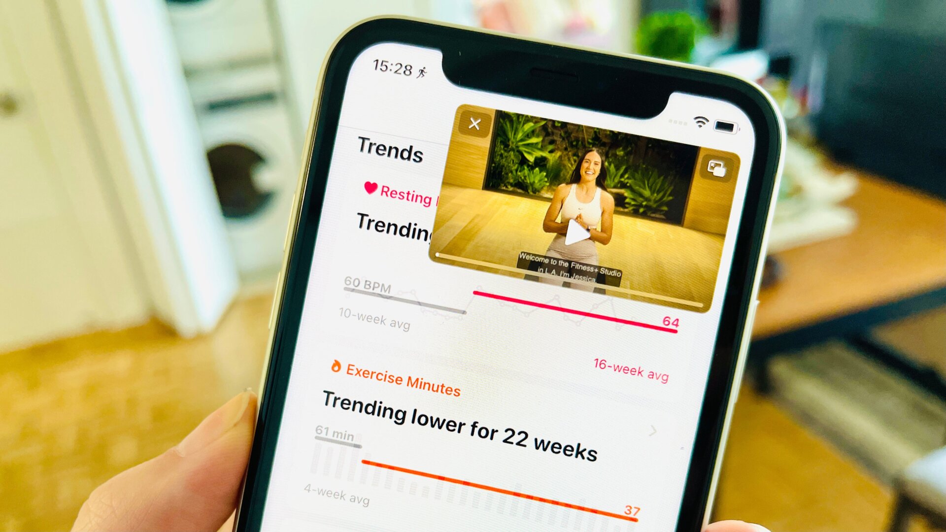 Photo: Victoria Song/Gizmodo