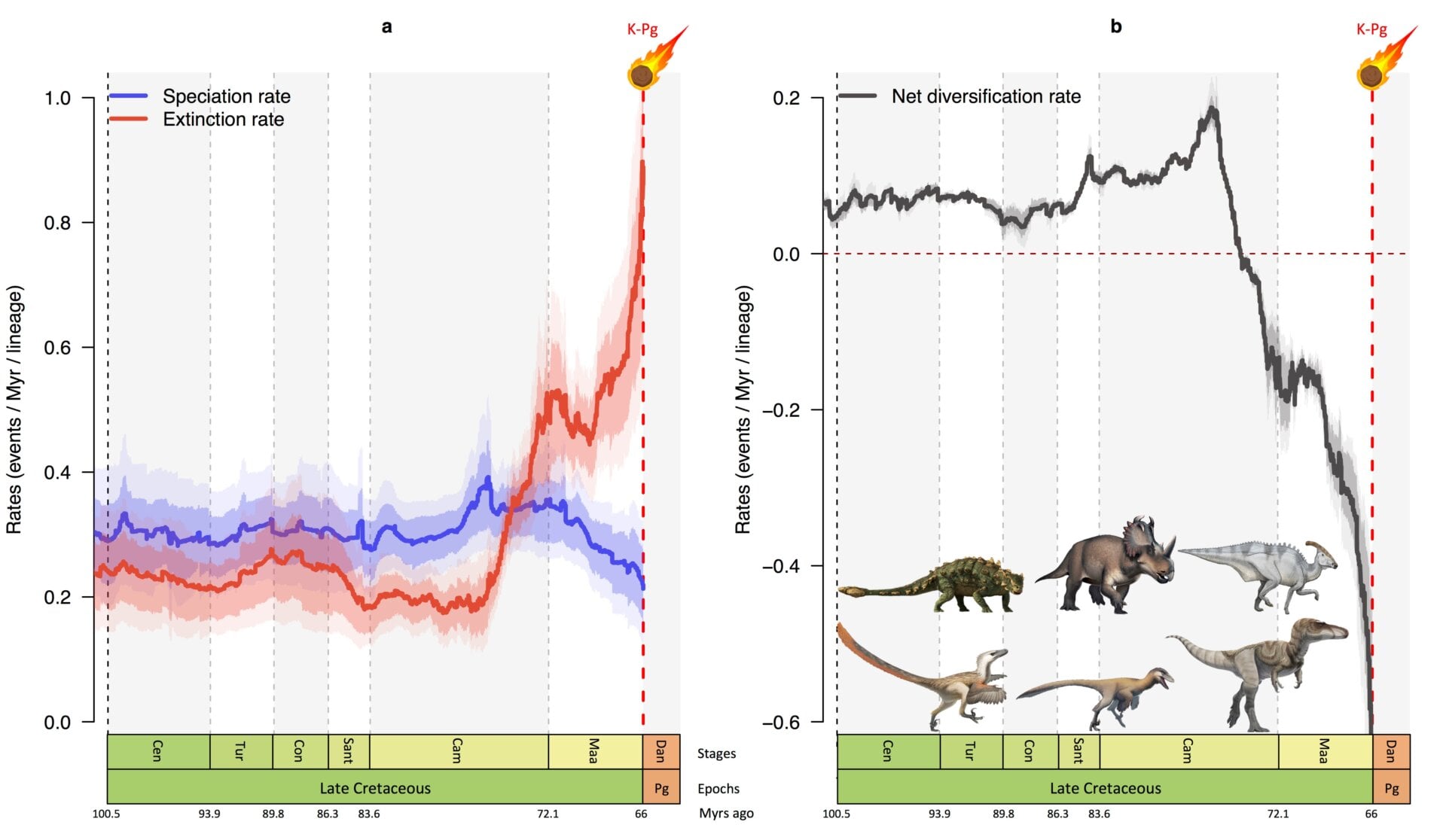 Graphs showing how the speciation rate dropped (shown in blue), and the extinction rate (in red) rose sharply in the last 10 million years prior to the extinction of non-avian dinosaurs. Together, this corresponds to a rapid reduction in the number of species (black) just before the asteroid.