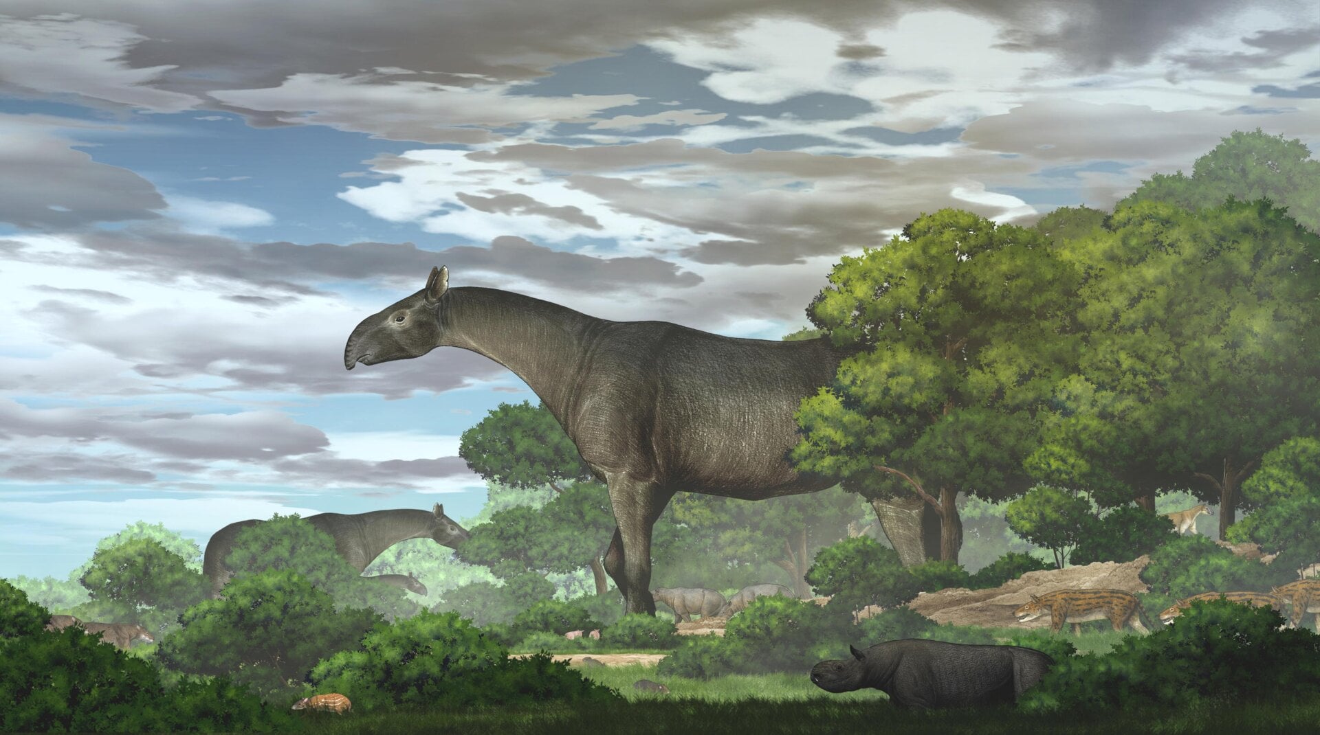 Artist’s interpretation of the newly discovered giant rhino.
