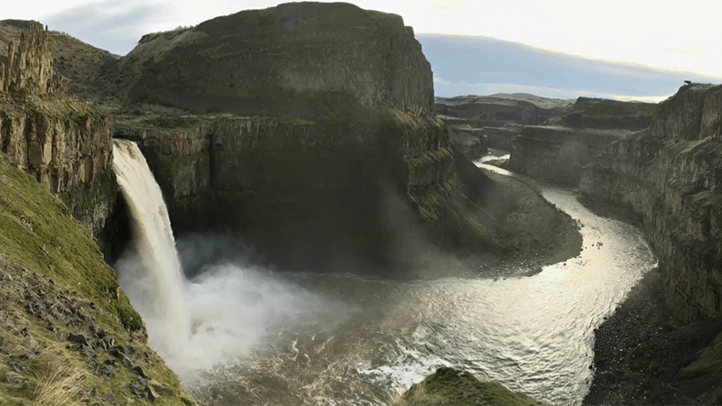 Gif: University of Washington